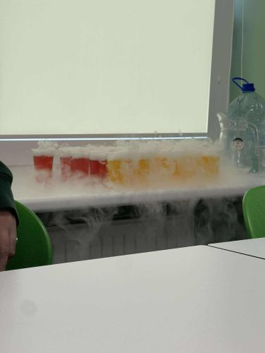 566632640 772144652305066 6328376601204947630 n