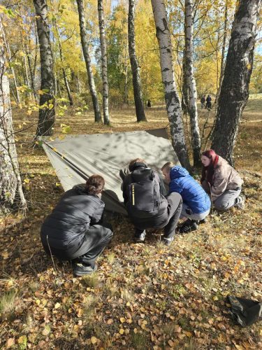 e8629008-7389-47fc-8ffb-e25069a93876