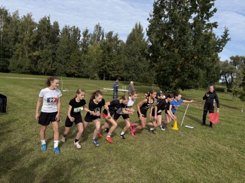 IMG 1176