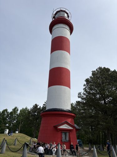 IMG 0782