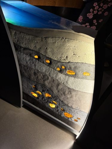 IMG 0794