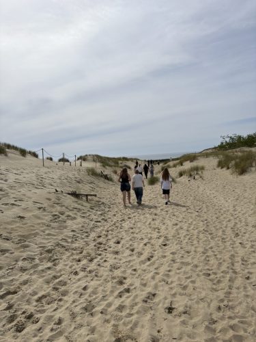 IMG 0822
