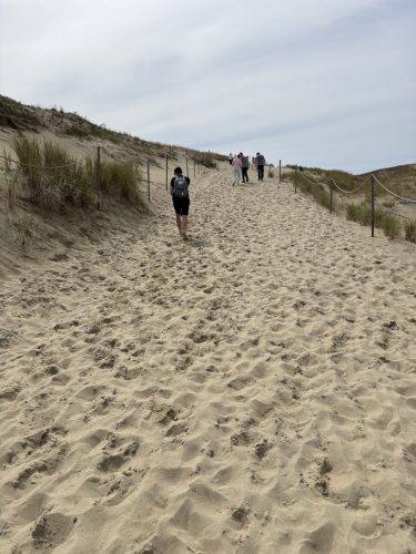 IMG 0824