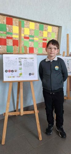 36b3ea49-4325-4b16-a5d0-b94fb2e1a558