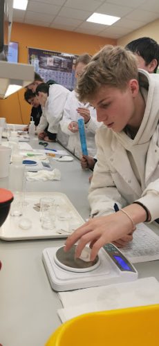 IMG 20251120 121125 1